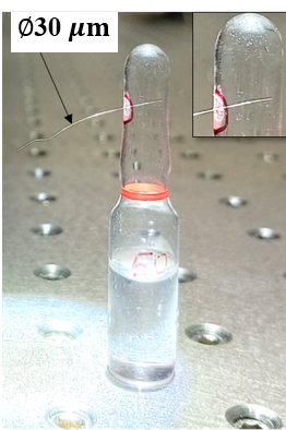 Ampoule micro-vias
