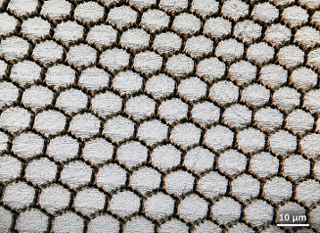 Honeycomb microstructures