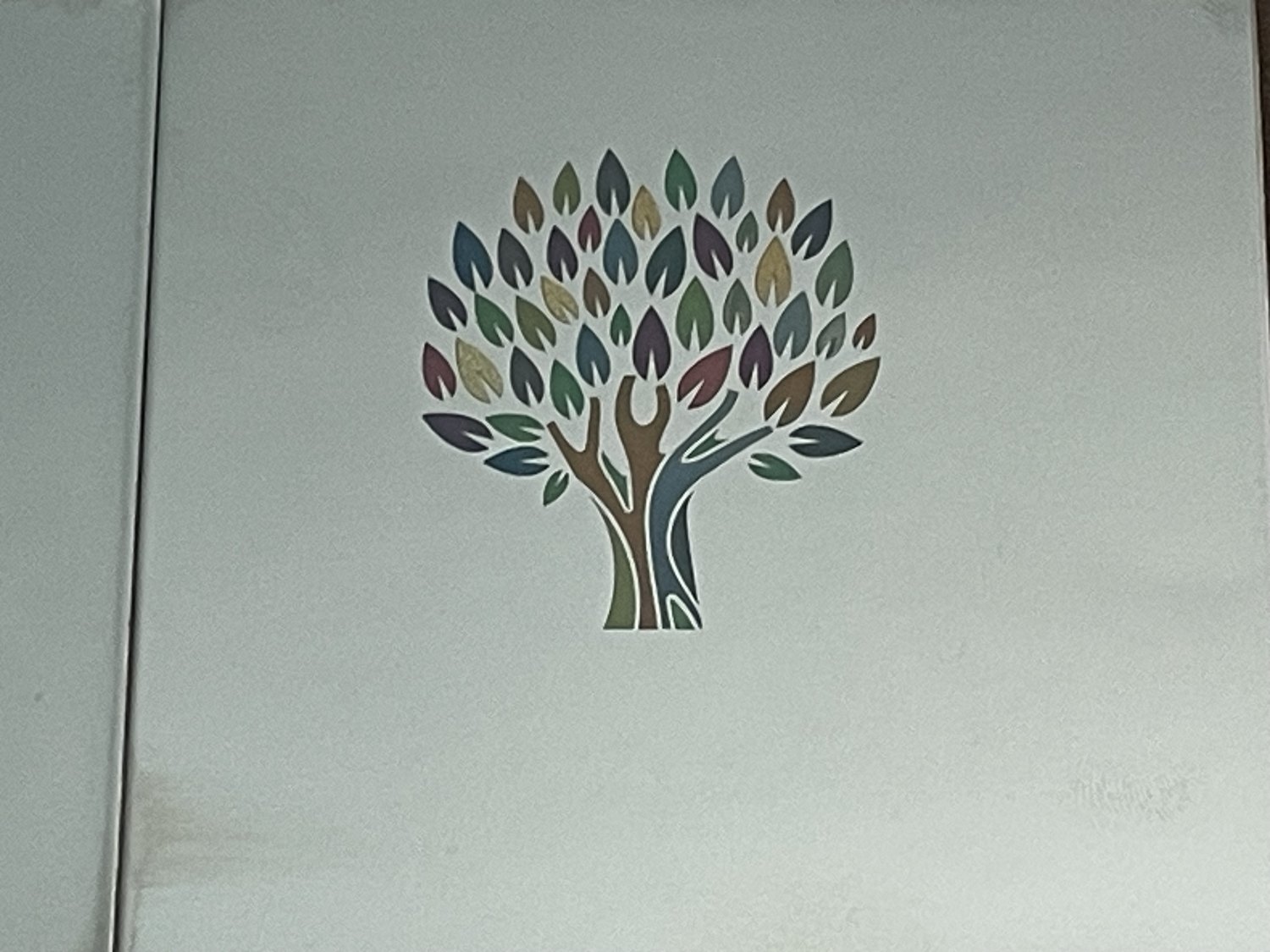 Laser Colour Marking