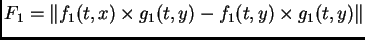 $\displaystyle F_{1} = \Vert f_{1}(t,x)\times g_{1}(t,y) - f_{1}(t,y)\times g_{1}(t,y)\Vert$